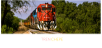 TREN CHEPE
